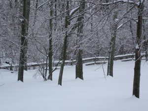 winter09 008
